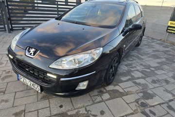 Peugeot407/Hdi/Panorama/Zarejstr.Zamiana