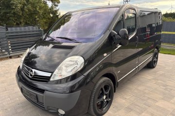 VivaroWestfalia/Alu/NaviKolor/Pdc