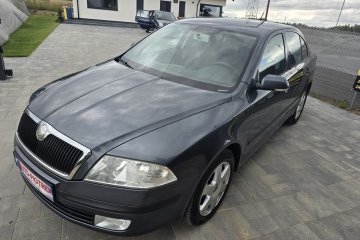 Octavia/1.9/Klimatronik/GrzanaDupa/Oplacona