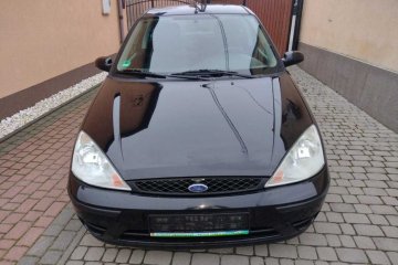 Ford Focus 1,6 Dynamiczny silnik 100km ! ! !  Bogata Wersja ! ! !