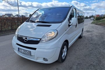 Vivaro/Westfalia/PIEKNY/Zarejstr